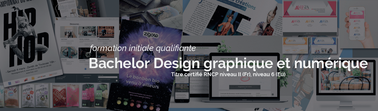 bachelor designer graphique